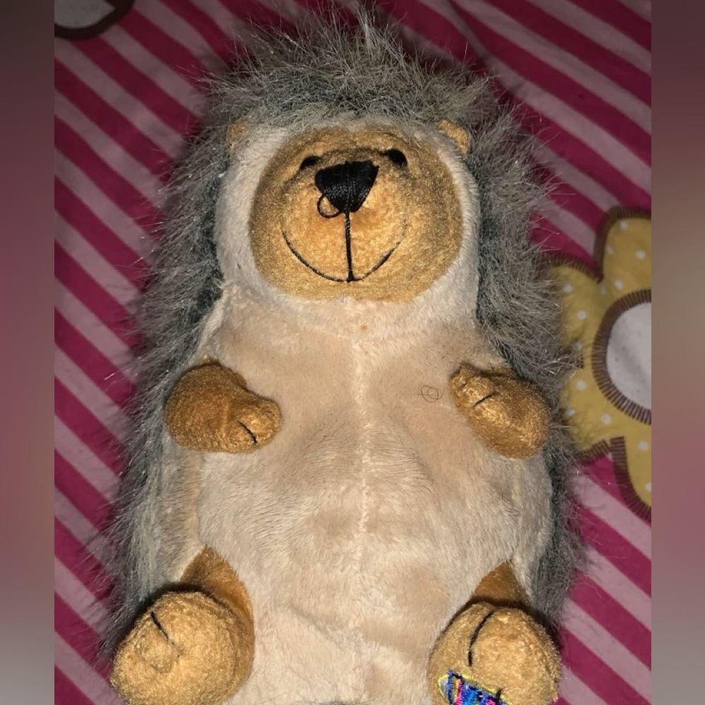 Hedgehog Plushy
